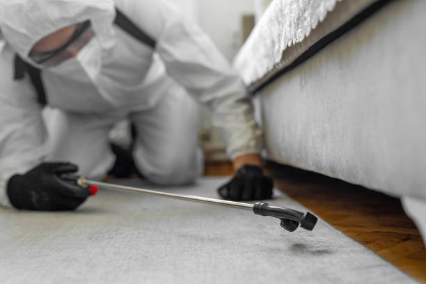 Professional Cockroach Control technician working in Silver Lakes, CA