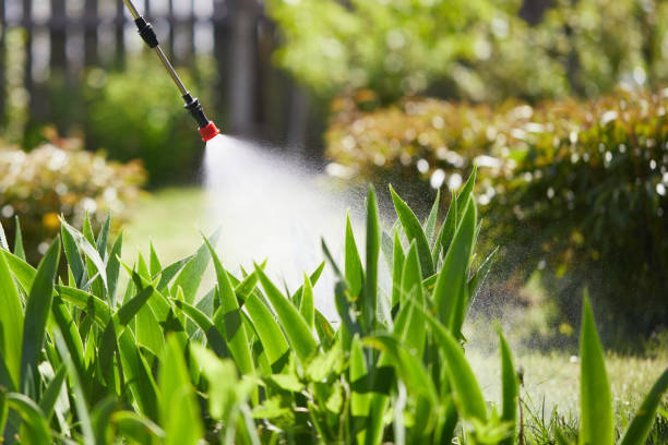 24/7 Emergency Cockroach Control experts in Silver Lakes, CA