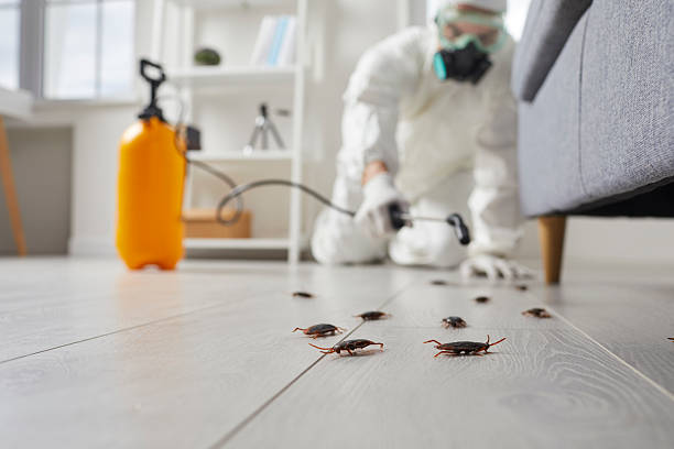 Trusted Fumigation Services service in Silver Lakes, CA - Nex Pest Control