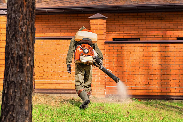 Trusted Rodent Control service in Silver Lakes, CA - Nex Pest Control